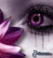 /album/lips-eyes-/obrazky-4ever-sk-oko-kvet-mihalnice-7095869-jpg/